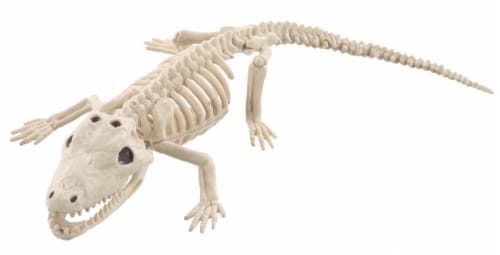 Holiday Home Small Skeleton Alligator Decor Perspective: front