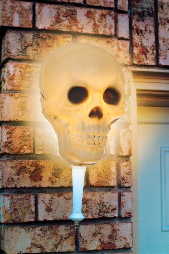 Holiday Home Skull Porch Light Cover Perspective: front