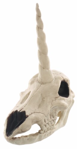 Holiday Home Unicorn Skull Decor Perspective: front
