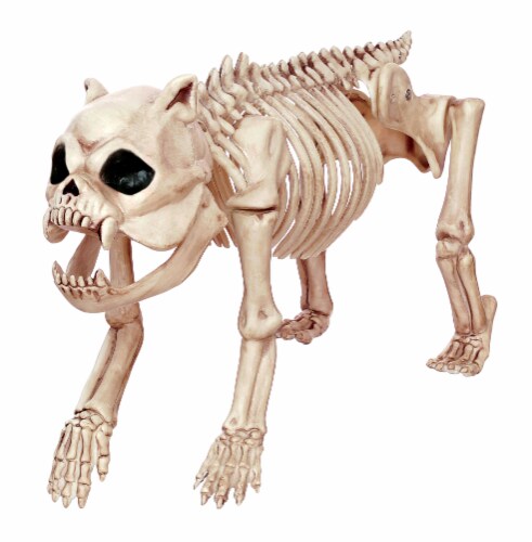 Holiday Home Bones The Hungry Hound Decor Perspective: front