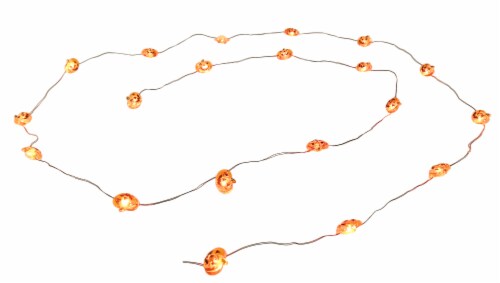 Holiday Home 20 LED Pumpkin Lights Perspective: front