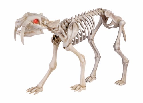 Holiday Home® Animated Skeleton Sabertooth Tiger, 36 in - Kroger