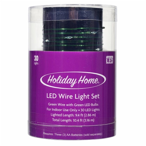 Holiday Home® 30 LED Wire Light Set - Green Perspective: front