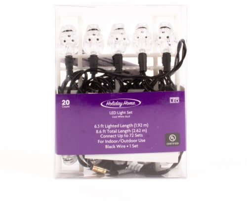 Holiday Home® 20 LED Skull Lights Set - White Perspective: front
