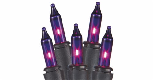 Holiday Home 70 Mini Twinkle Lights - Purple Perspective: front