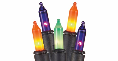 Holiday Home 70 Mini Multicolor Twinkle Lights Perspective: front