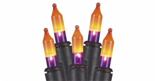 Holiday Home Mini String Lights - Orange/Purple Perspective: front
