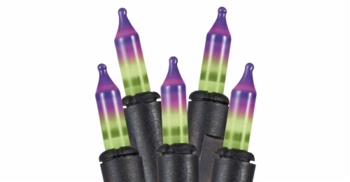 Holiday Home Mini String Lights - Green/Purple Perspective: front