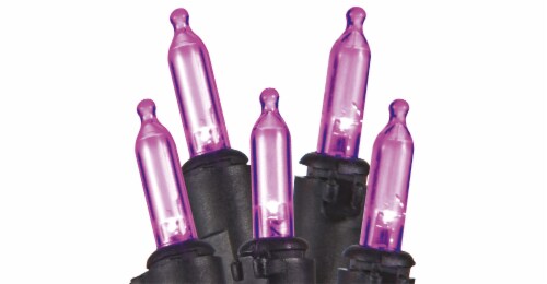 Holiday Home 70 LED Mini String Lights - Purple Perspective: front