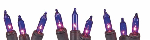 Holiday Home Mini Light Reel - Purple Perspective: front