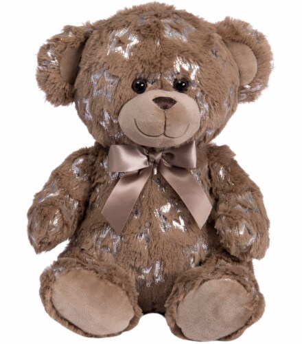 Holiday Home® Star Printed Teddy Bear Stuffed Animal Perspective: front