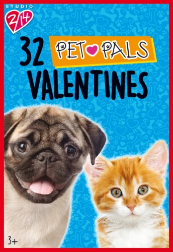 Holiday Home Pet Pals Valentines Perspective: front