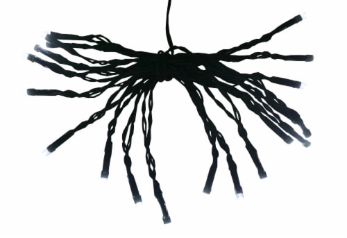 Holiday Home 20 LED String Lights - Cool White Perspective: front