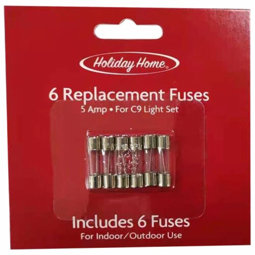 Holiday Home® 5 Amp Replacement Fuses Perspective: front
