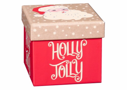 Holiday Home Holly Cube Gift Box Perspective: front