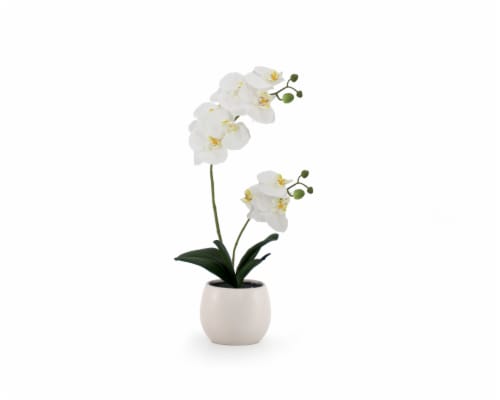 HD Designs Artificial Orchid with Ceramic Vase - White Perspective: front