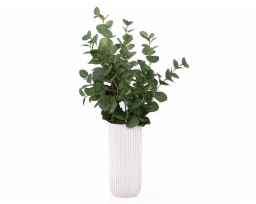 HD Designs Eucalyptus Plant in Glazed Vase - White Perspective: front