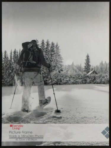 Fred Meyer 18x24 Black Poster Frame Perspective: front
