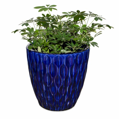 The Joy of Gardening Waterweave Planter - Blue Perspective: front