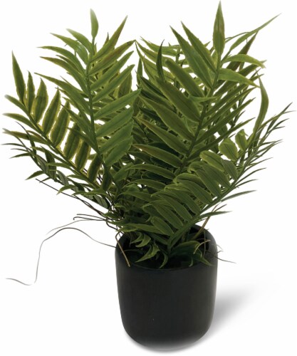 HD Designs Outdoors Fern in Black Pot Outdoor Decoration Perspective: front