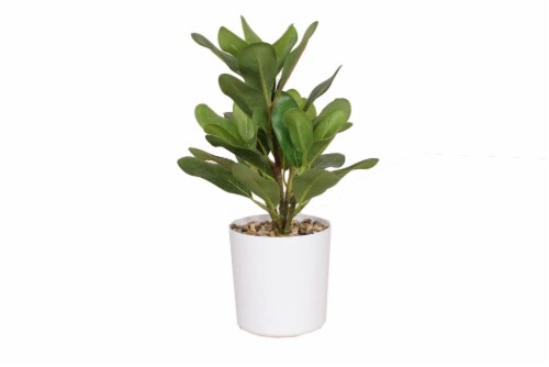 HD Designs Artificial Fig Tree in White Pot Perspective: front