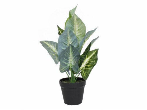 HD Designs Artificial Arrowhead Plant in Black Pot Perspective: front