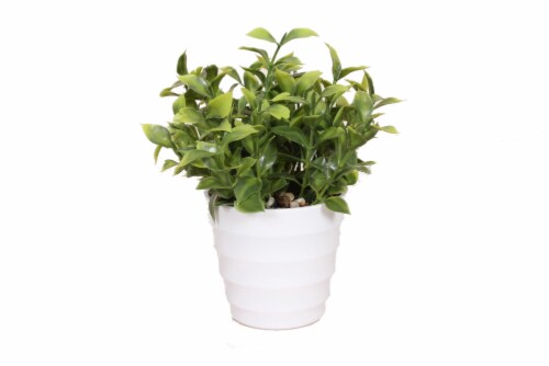 HD Designs Artificial Buxus in White Pot Perspective: front