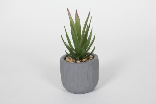 HD Designs® Agave in White Pot Perspective: front