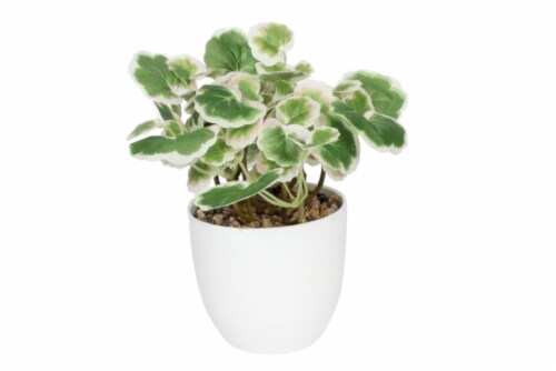 HD Designs® Varigated Geranium in Grey Pot Perspective: front