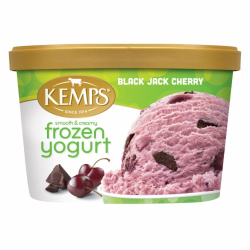 Kemps Black Jack Cherry Frozen Yogurt Tub Perspective: front