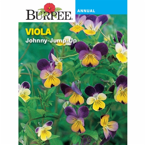 Burpee® Viola Heirloom Johnny-Jump Up Seeds Perspective: front