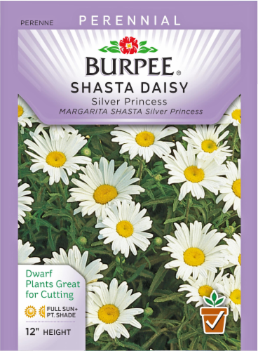 Burpee® Shasta Daisy Silver Princess Seeds - White/Yellow Perspective: front