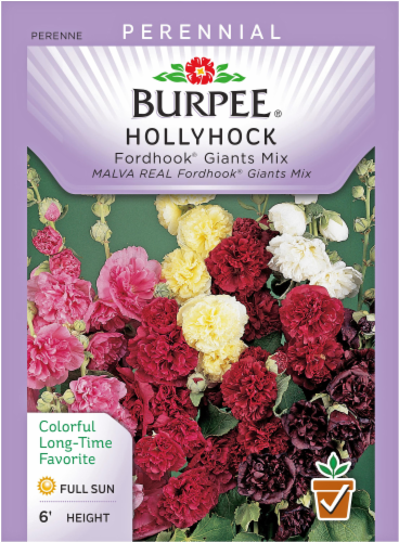 Burpee® Fordhook® Giants Mix Hollyhock Seeds Perspective: front