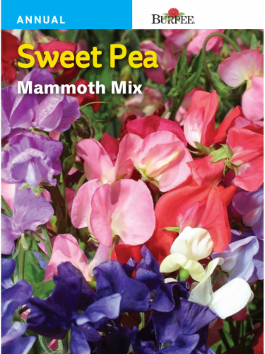 Burpee Sweet Pea Mammoth Seeds Mix Perspective: front
