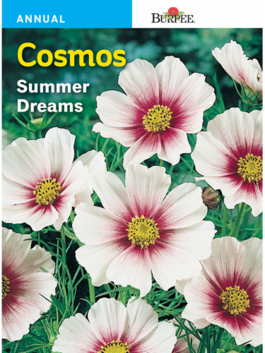 Burpee® Cosmos Summer Dreams Seeds Perspective: front