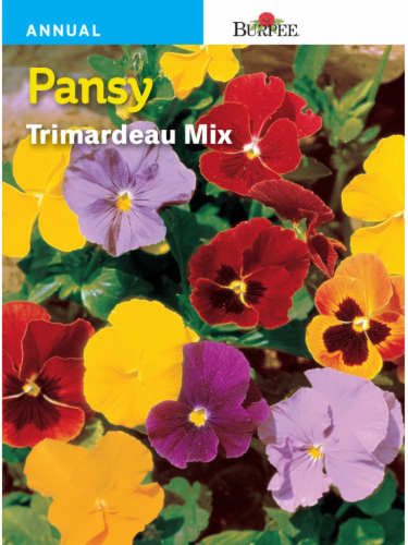 Burpee® Pansy Trimardeau Mix Seeds Perspective: front