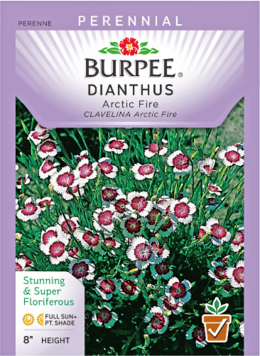 Burpee Dianthus Arctic Fire Seeds Perspective: front