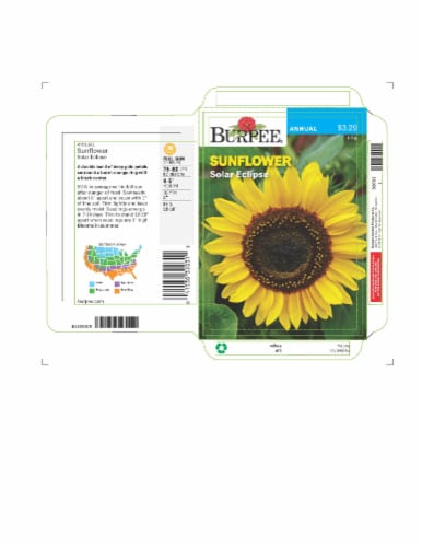 Burpee® Solar Eclipse Sunflower Seeds Perspective: front