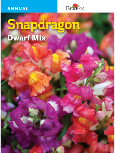 Burpee Snapdragon Dwarf Mix Seeds Perspective: front