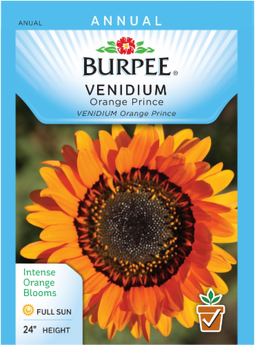 Burpee Orange Prince Venidium Seeds Perspective: front