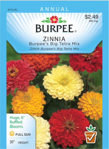 Burpee® Zinnia Big Tetra Mix Seeds Perspective: front