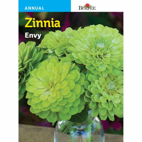 Burpee Zinnia Envy Seeds Perspective: front