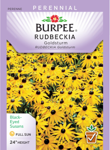 Burpee Goldsturm Rudbeckia Seeds Perspective: front