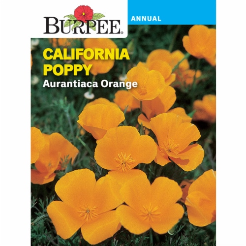 Burpee® California Poppy Aurantiaca Seeds Perspective: front