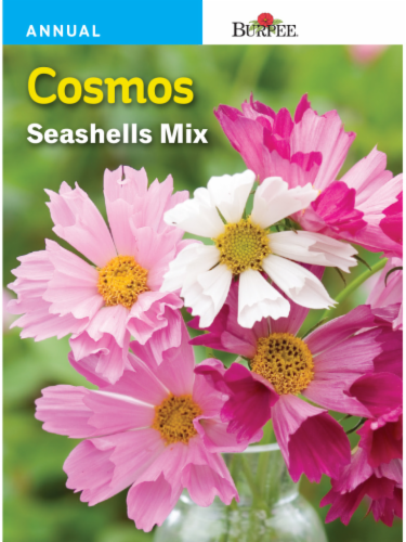 Burpee® Cosmos Seashells Mix Seeds Perspective: front