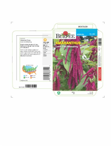 Burpee® Love Lies Bleeding Heirloom Amaranthus Seeds Perspective: front