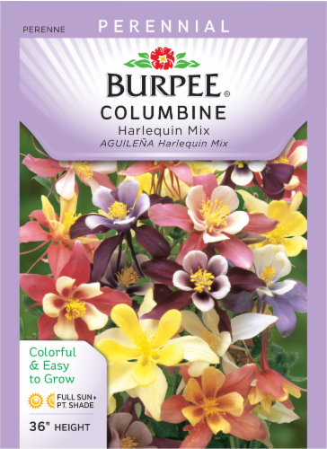 Burpee® Columbine Harlequin Mixed Color Seeds Perspective: front