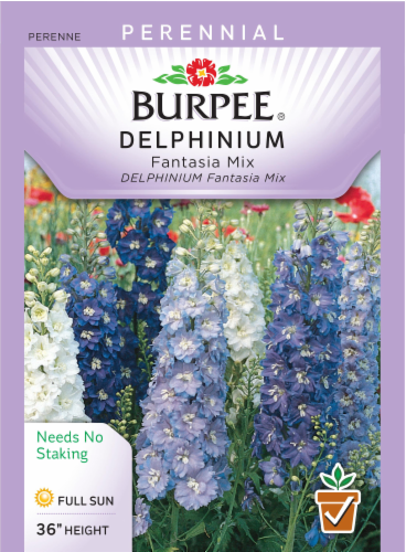 Burpee Fantasia Mix Delphinium Seeds Perspective: front