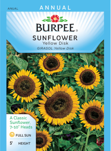 Burpee Yellow Disk Sunflower Seeds Perspective: front