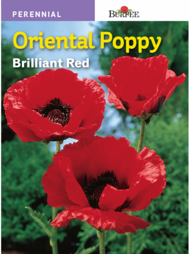 Burpee Oriental Poppy Seeds Perspective: front